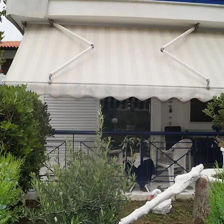 Fay's Paradise פוליכרונו