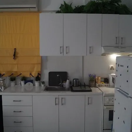 Fay's Paradise * פוליכרונו