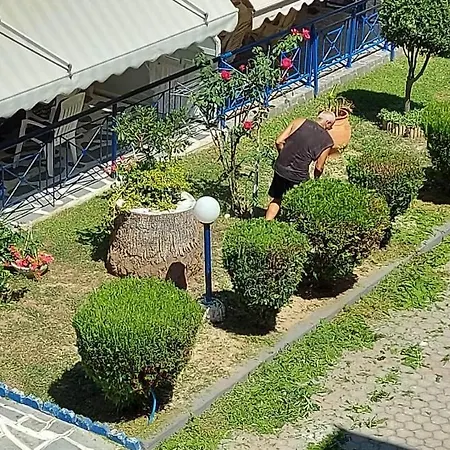 Fay's Paradise דירה