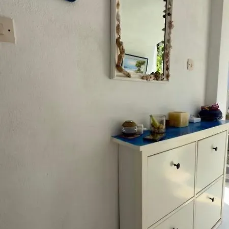 Fay's Paradise פוליכרונו