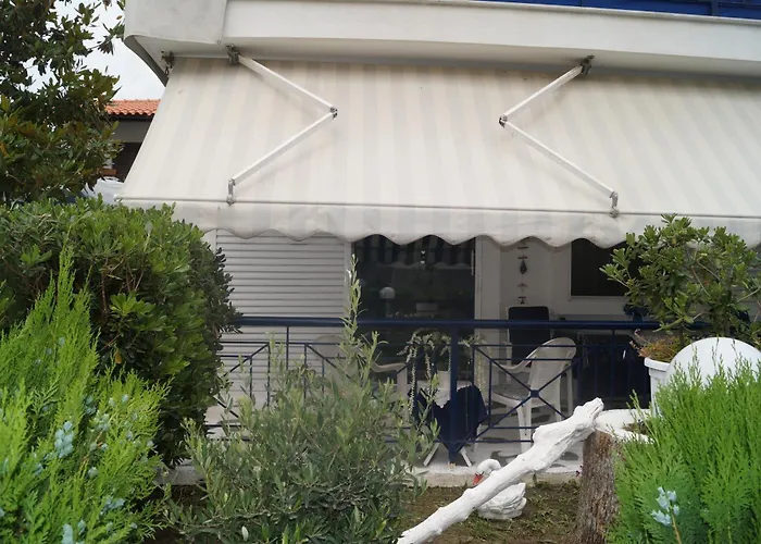 Fay's Paradise Polychrono