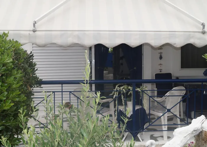 Fay's Paradise * Polychrono