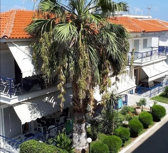 Fay's Paradise Polychrono