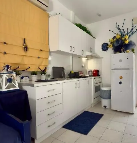 Fay's Paradise Polychrono