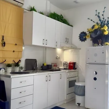 Fay's Paradise Polychrono