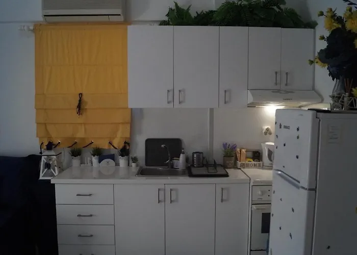 Fay's Paradise * Polychrono