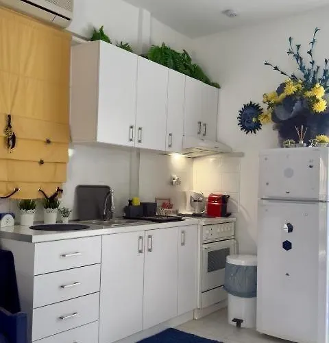 Fay's Paradise Polychrono